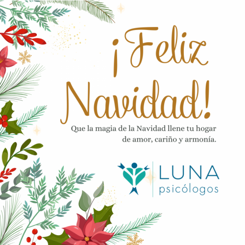 Despedimos el 2024: Un Cierre de Ciclo y Apertura a Nuevas Oportunidades